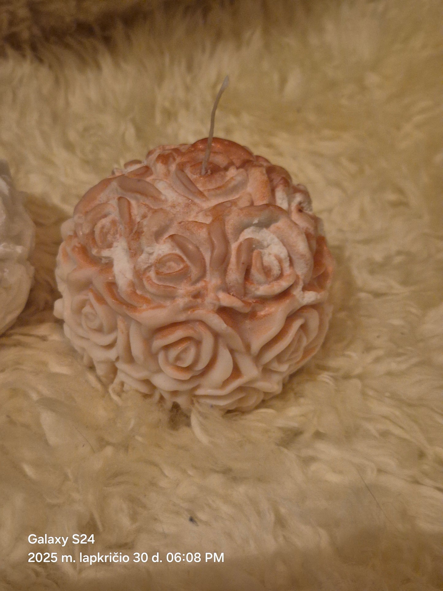 Large roses in roses