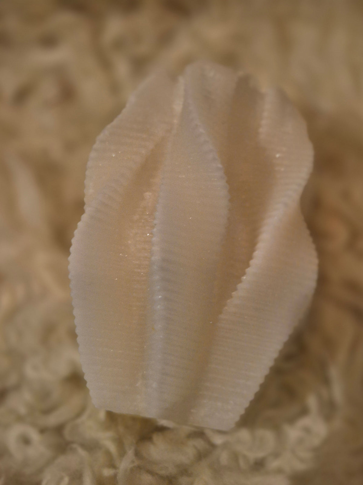 Unic palm candle
