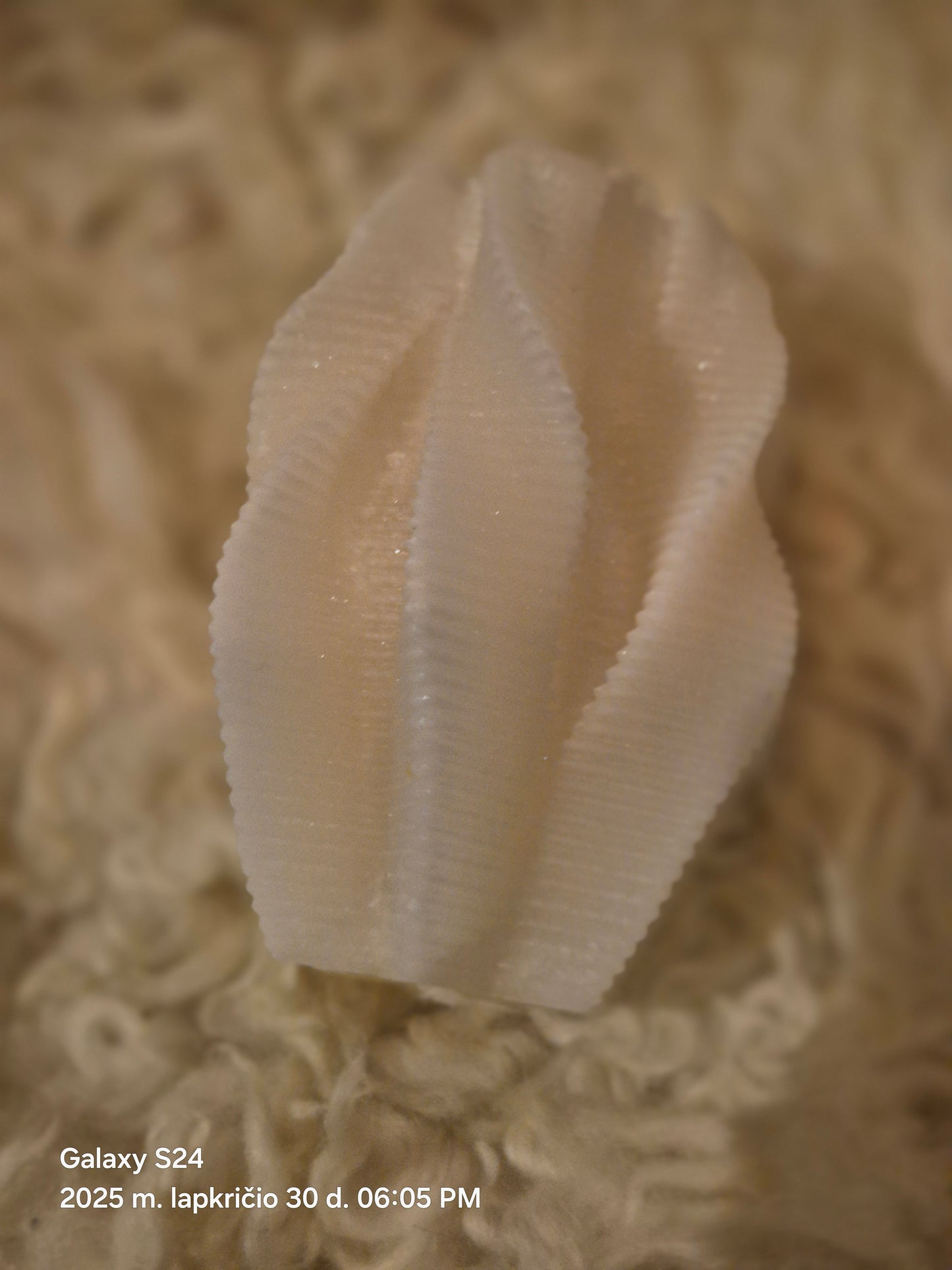 Unic palm candle